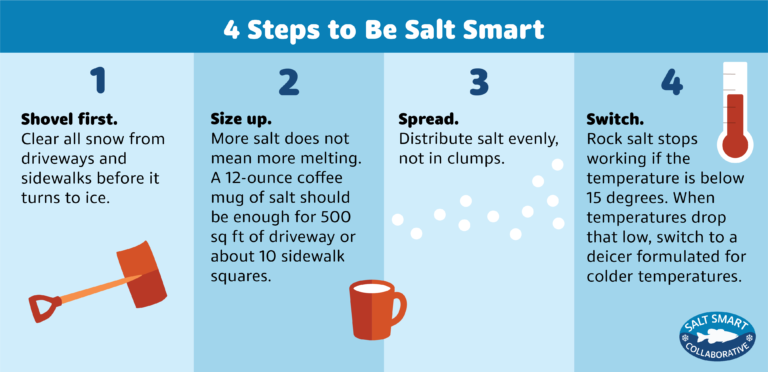 Graphic: 4 Steps to Be Salt Smart