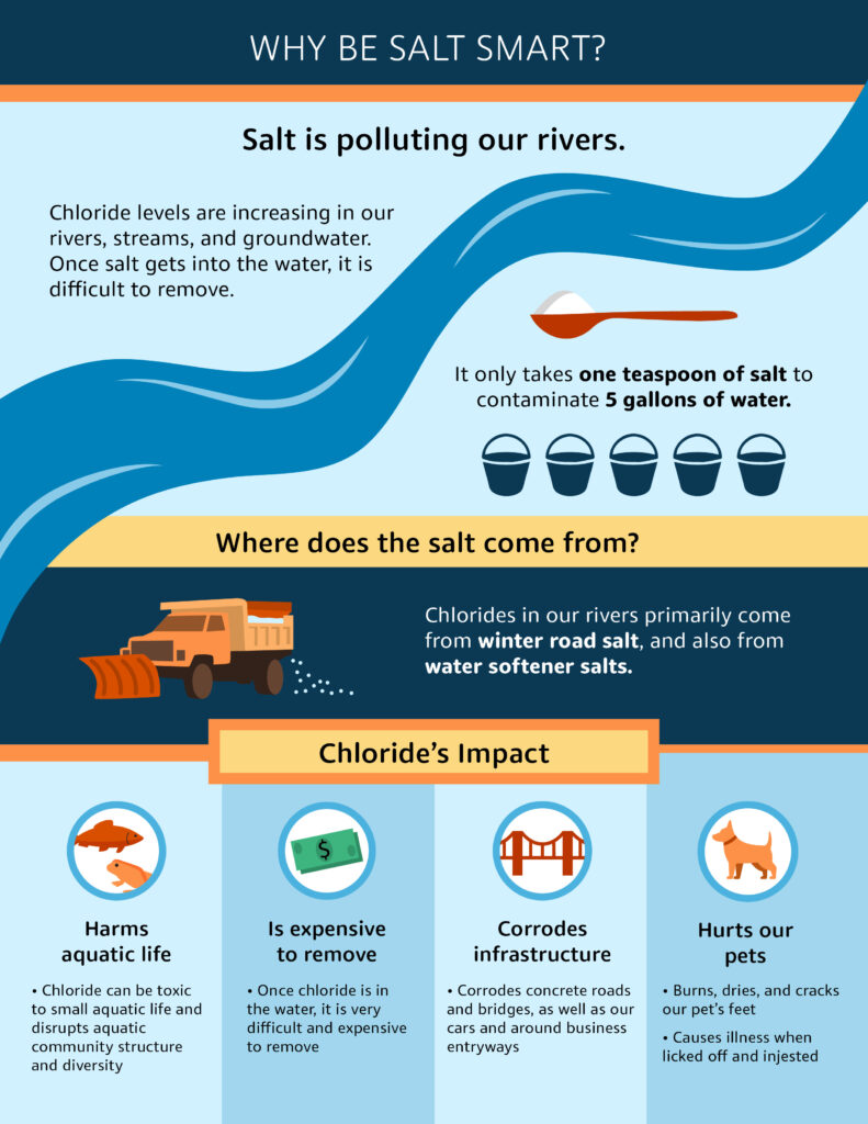 Why Be Salt Smart Graphic
